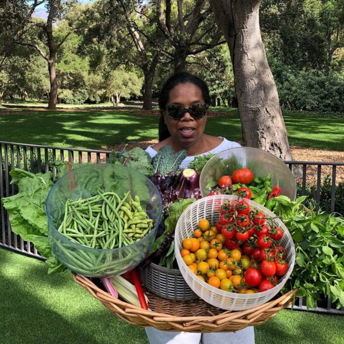 Oprah Winfrey Vegetable Garden