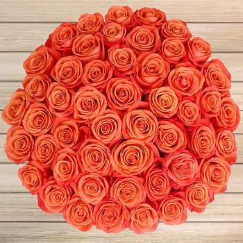 Valentine’s Day roses Orange Roses