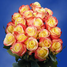 Red Tipped Yellow Roses