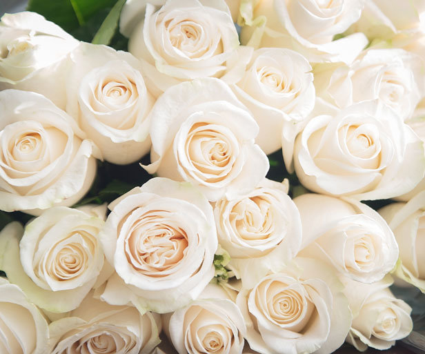 White Roses